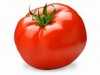 Strauch Tomate